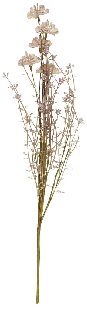 Blume Malvatöne hell